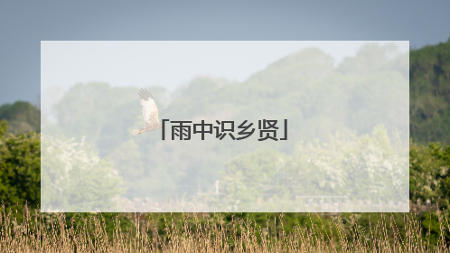 雨中识乡贤