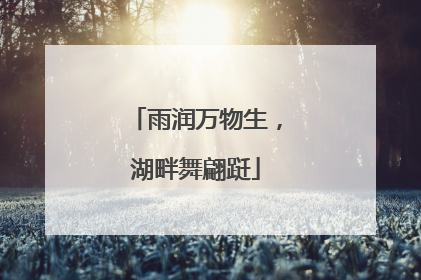 雨润万物生，湖畔舞翩跹