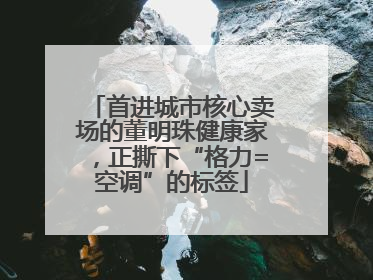 首进城市核心卖场的董明珠健康家，正撕下“格力=空调”的标签