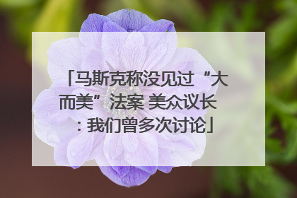 马斯克称没见过“大而美”法案 美众议长：我们曾多次讨论