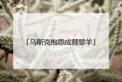 马斯克抱怨成替罪羊