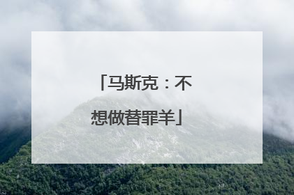 马斯克：不想做替罪羊