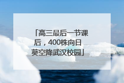 高三最后一节课后，400株向日葵空降武汉校园