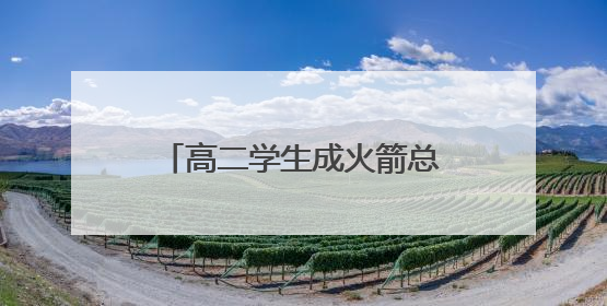 高二学生成火箭总师 “手搓”飞燕一号突破一万米