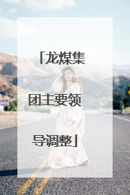 龙煤集团主要领导调整