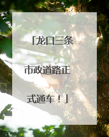龙口三条市政道路正式通车！