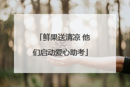 鲜果送清凉 他们启动爱心助考