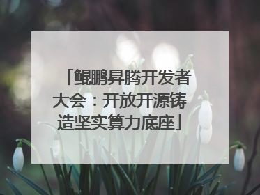 鲲鹏昇腾开发者大会：开放开源铸造坚实算力底座