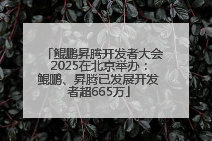 鲲鹏昇腾开发者大会2025在北京举办：鲲鹏、昇腾已发展开发者超665万