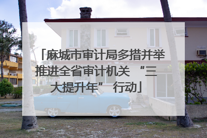 麻城市审计局多措并举推进全省审计机关 “三大提升年” 行动