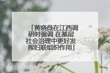 黄晓薇在江西调研时强调 在基层社会治理中更好发挥妇联组织作用