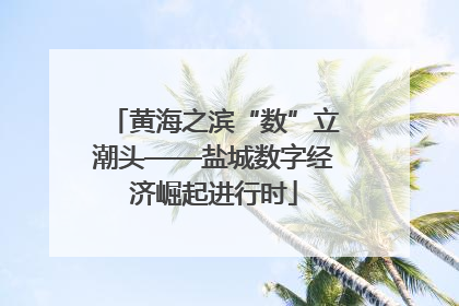 黄海之滨“数”立潮头——盐城数字经济崛起进行时