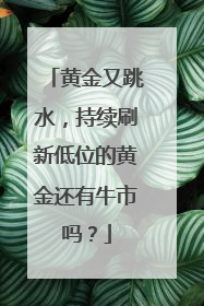 黄金又跳水，持续刷新低位的黄金还有牛市吗？