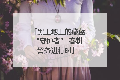 黑土地上的藏蓝“守护者” 春耕警务进行时