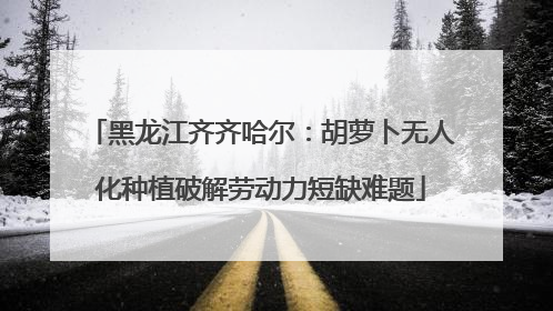 黑龙江齐齐哈尔：胡萝卜无人化种植破解劳动力短缺难题