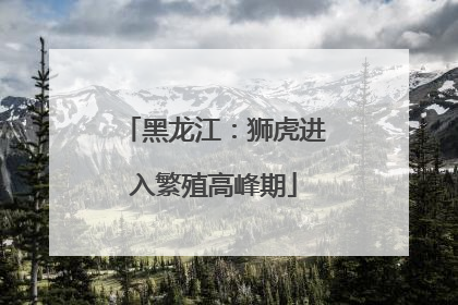 黑龙江：狮虎进入繁殖高峰期