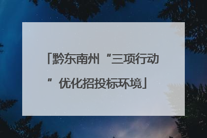 黔东南州“三项行动”优化招投标环境