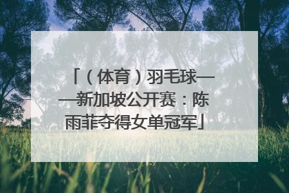 （体育）羽毛球——新加坡公开赛：陈雨菲夺得女单冠军