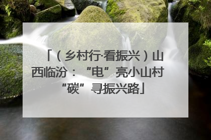 （乡村行·看振兴）山西临汾：“电”亮小山村 “碳”寻振兴路