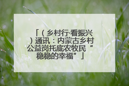 （乡村行·看振兴）通讯：内蒙古乡村公益岗托底农牧民“稳稳的幸福”