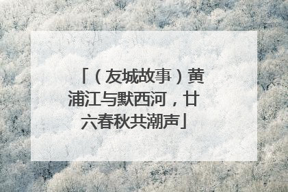 （友城故事）黄浦江与默西河，廿六春秋共潮声
