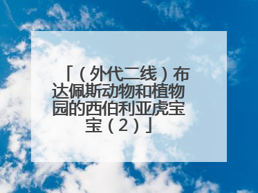 （外代二线）布达佩斯动物和植物园的西伯利亚虎宝宝（2）