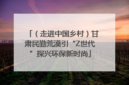 （走进中国乡村）甘肃民勤荒漠引“Z世代”探兴环保新时尚