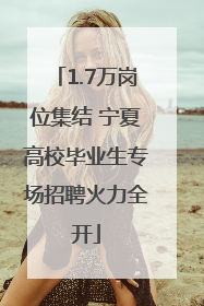 1.7万岗位集结 宁夏高校毕业生专场招聘火力全开