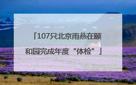 107只北京雨燕在颐和园完成年度“体检”