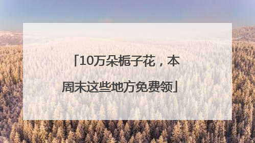 10万朵栀子花，本周末这些地方免费领