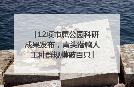 12项市属公园科研成果发布，青头潜鸭人工种群规模破百只