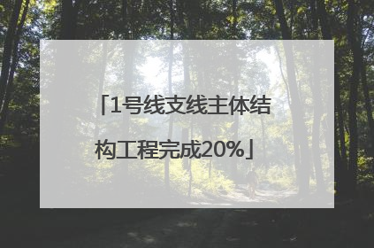 1号线支线主体结构工程完成20%