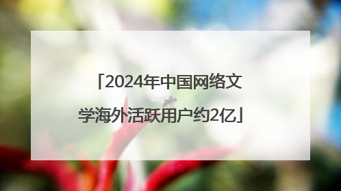 2024年中国网络文学海外活跃用户约2亿