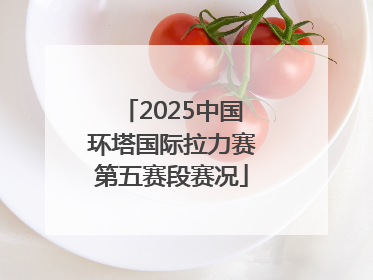 2025中国环塔国际拉力赛第五赛段赛况
