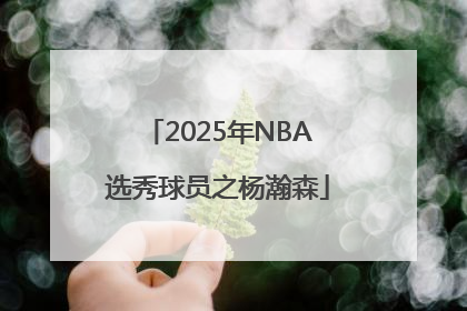 2025年NBA选秀球员之杨瀚森