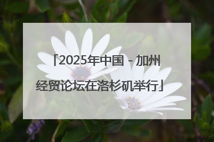 2025年中国－加州经贸论坛在洛杉矶举行