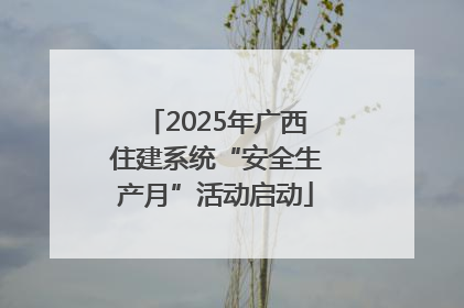 2025年广西住建系统“安全生产月”活动启动