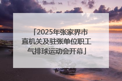 2025年张家界市直机关及驻张单位职工气排球运动会开幕
