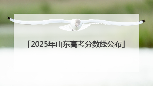 2025年山东高考分数线公布