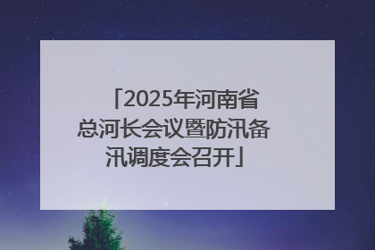2025年河南省总河长会议暨防汛备汛调度会召开
