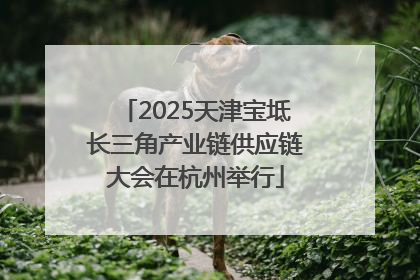 2025天津宝坻长三角产业链供应链大会在杭州举行