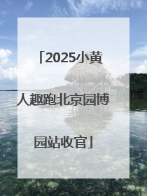 2025小黄人趣跑北京园博园站收官