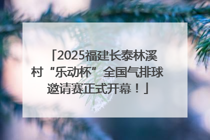 2025福建长泰林溪村“乐动杯”全国气排球邀请赛正式开幕！