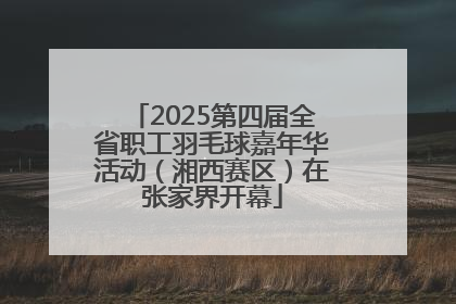 2025第四届全省职工羽毛球嘉年华活动（湘西赛区）在张家界开幕