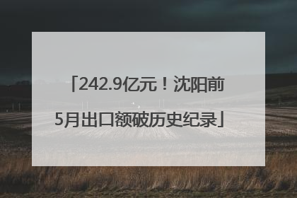 242.9亿元！沈阳前5月出口额破历史纪录