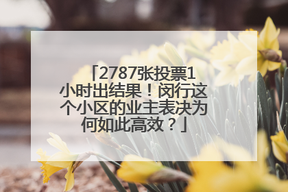 2787张投票1小时出结果！闵行这个小区的业主表决为何如此高效？