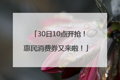 30日10点开抢！惠民消费券又来啦！
