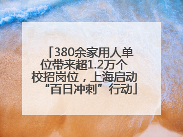 380余家用人单位带来超1.2万个校招岗位，上海启动“百日冲刺”行动