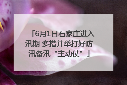 6月1日石家庄进入汛期 多措并举打好防汛备汛“主动仗”