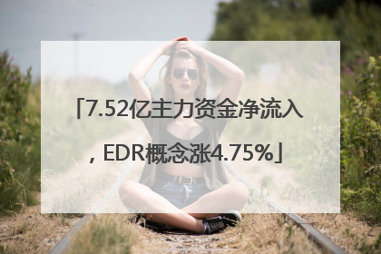7.52亿主力资金净流入，EDR概念涨4.75%